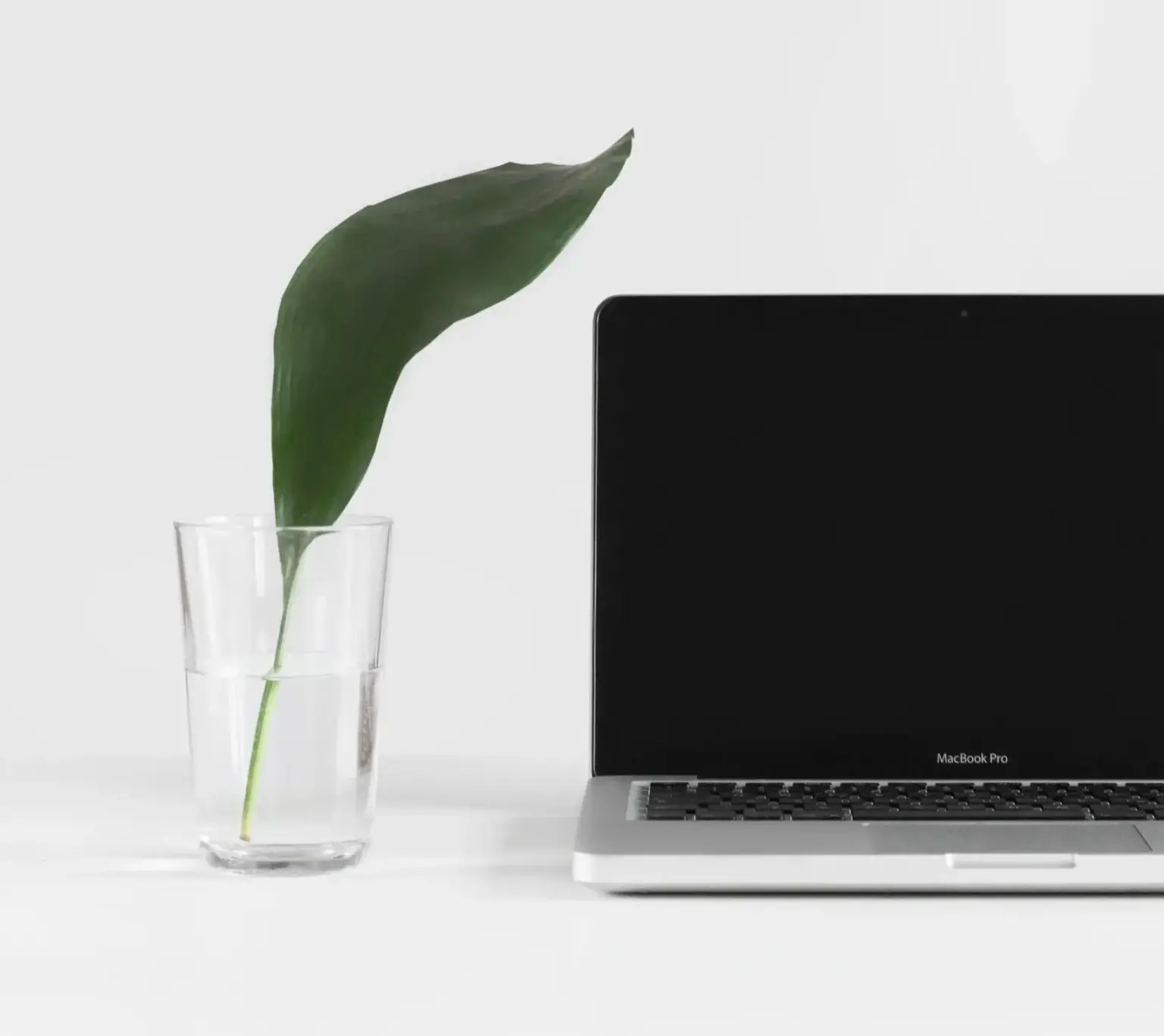 Laptop open with a leaf in a glass of water next to it.